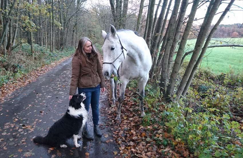 Coaching Spaziergang Pferd Hund 2